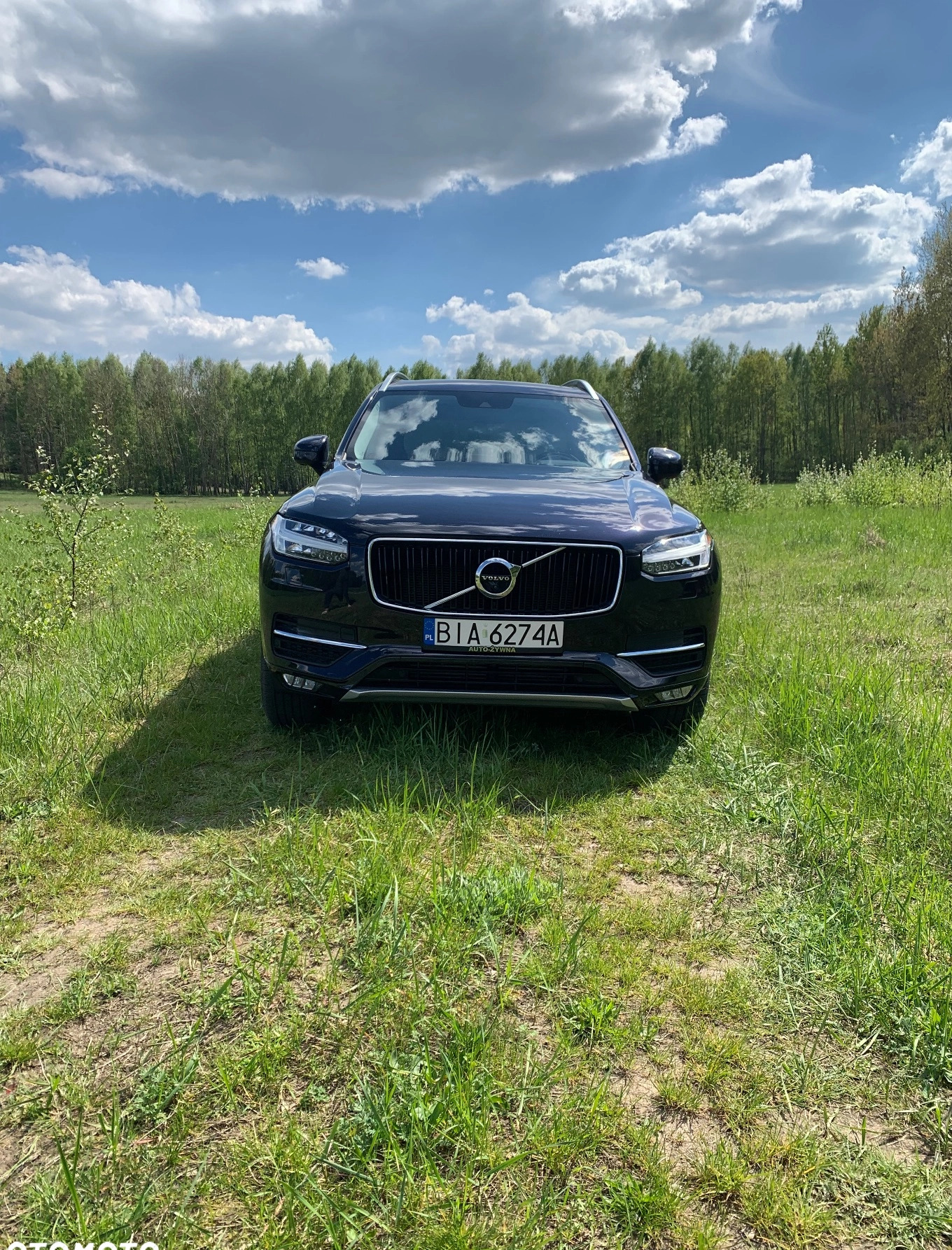 Volvo XC 90 cena 115000 przebieg: 151500, rok produkcji 2015 z Wołczyn małe 781